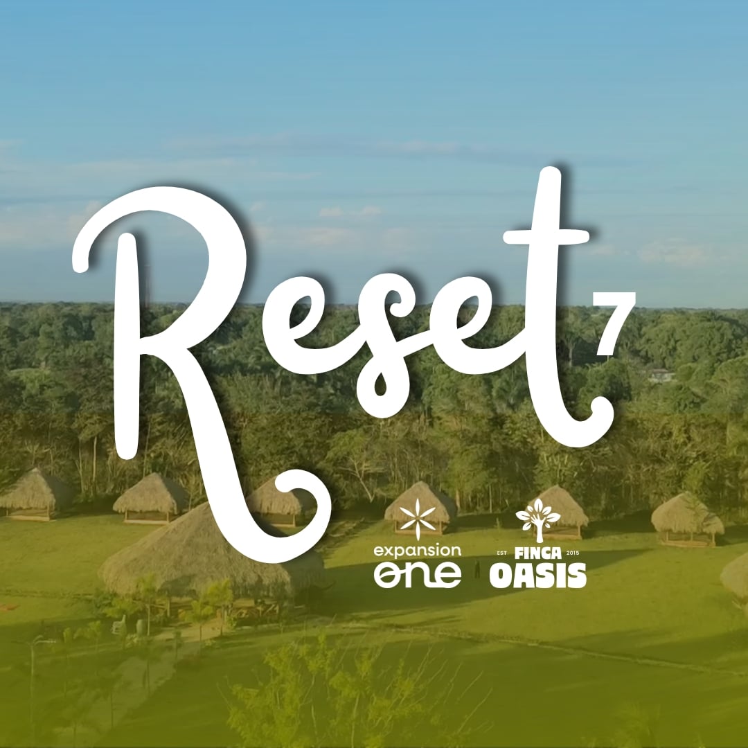 reset7.jpg