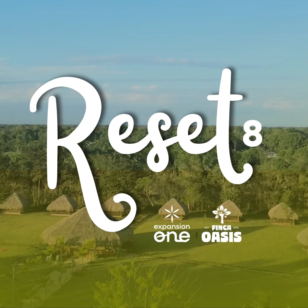 reset8.jpg